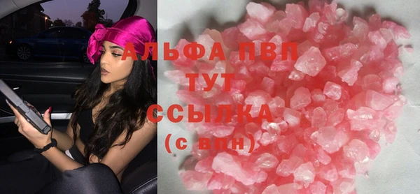 прущие крисы Бородино