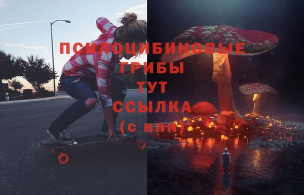 ALPHA PVP Богородицк